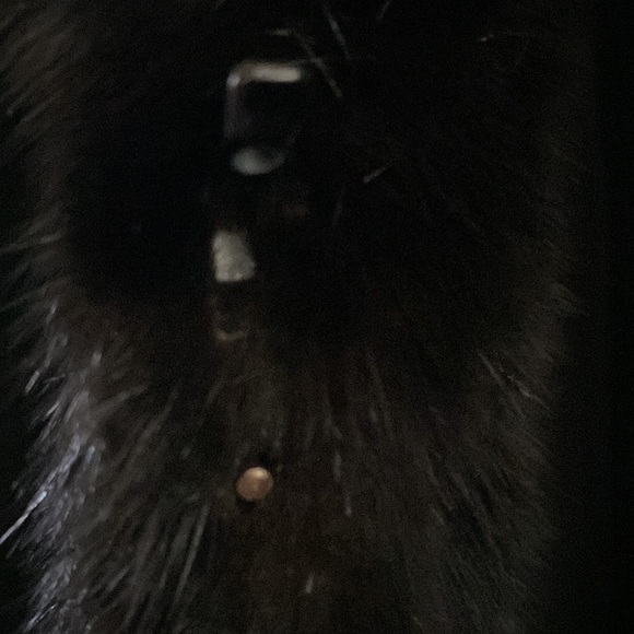 FABULOUS Full Length Mink Coat - Picture 3 of 8